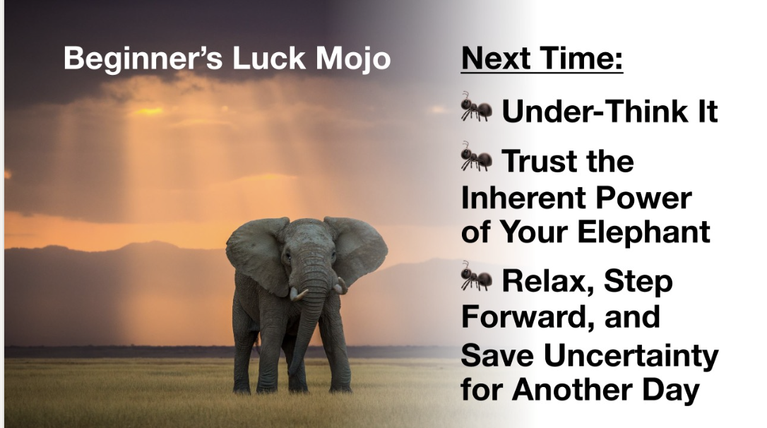 Beginners Luck Mojo by Vince Poscente